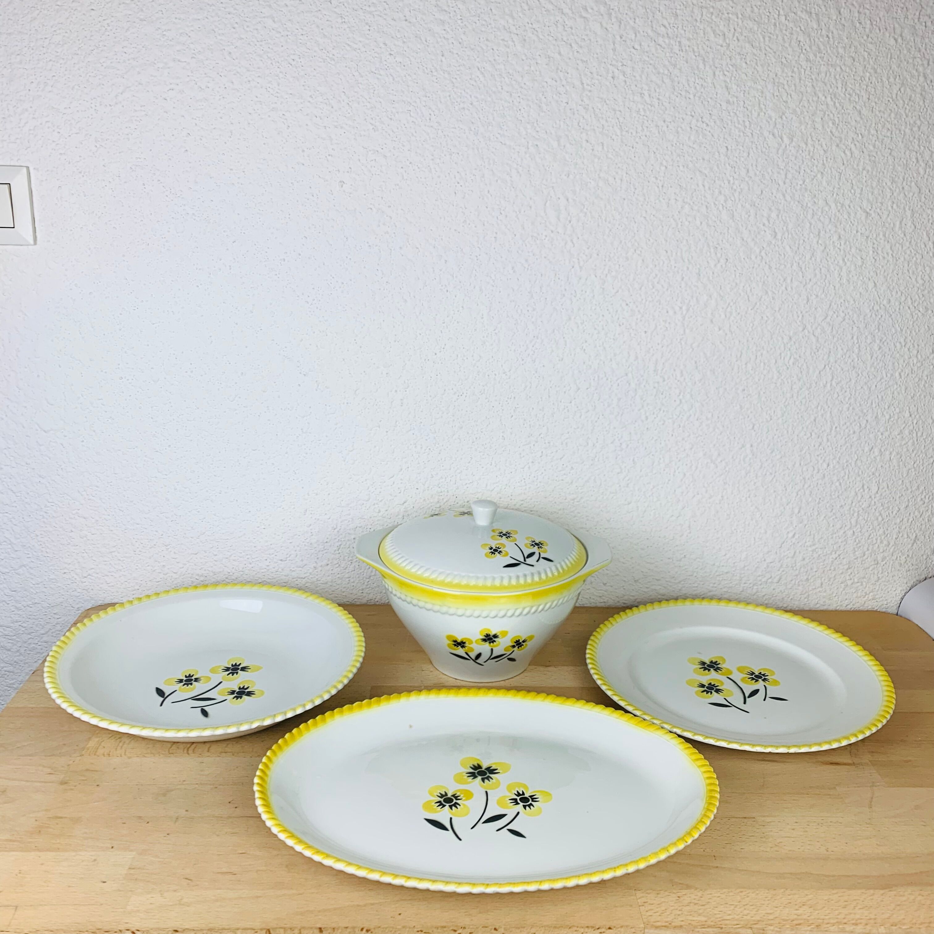 Vintage dishes and tureen in ceramic