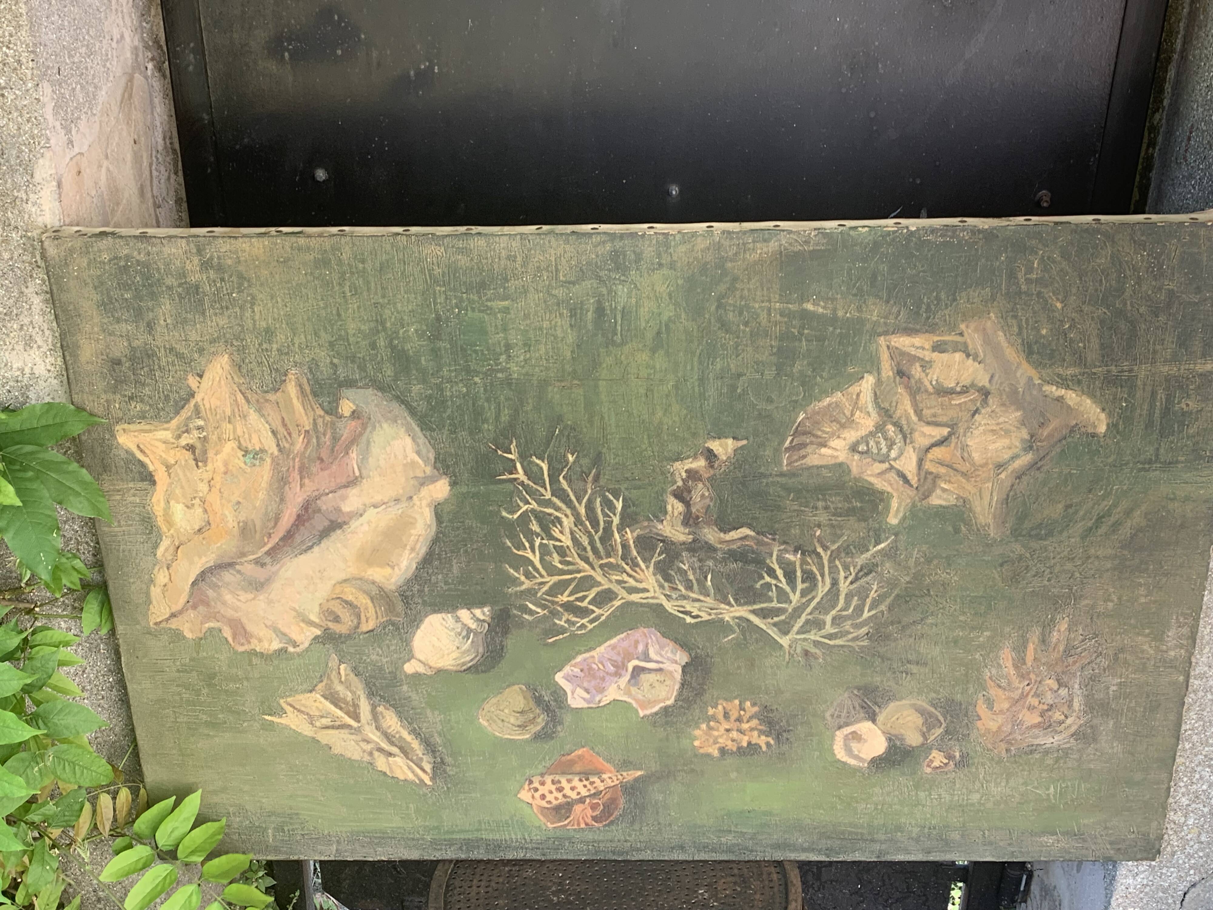 Large painting of shells, cabinet of curiosities, sign, vintage
