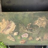 Large painting of shells, cabinet of curiosities, sign, vintage