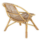 vintage jaren '60 - Rotan stoel 'Neerlon'