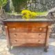 Commode empire retour D’Égypte en Acajou Flammé Époque XIX eme siècle