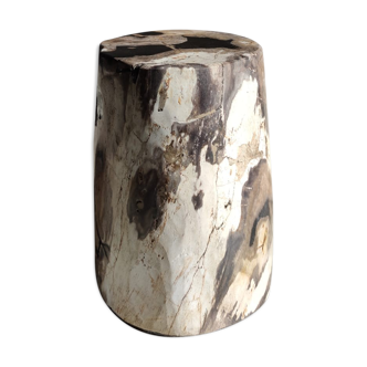 Side table in petrified wood