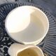 Vintage toilet set in Villeroy & Boch earthenware (1920-1931)