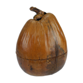 Old ice bucket coconut