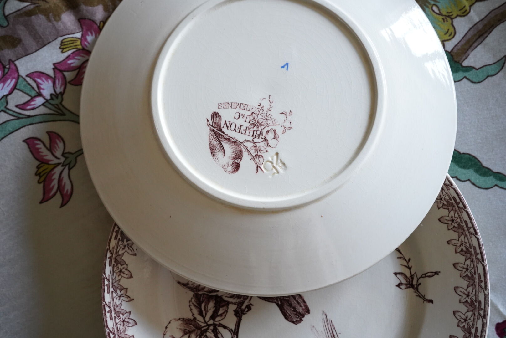 2 Old Dessert Plates "Buffon", iron earth, Sarreguemines