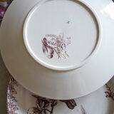 2 Old Dessert Plates "Buffon", iron earth, Sarreguemines