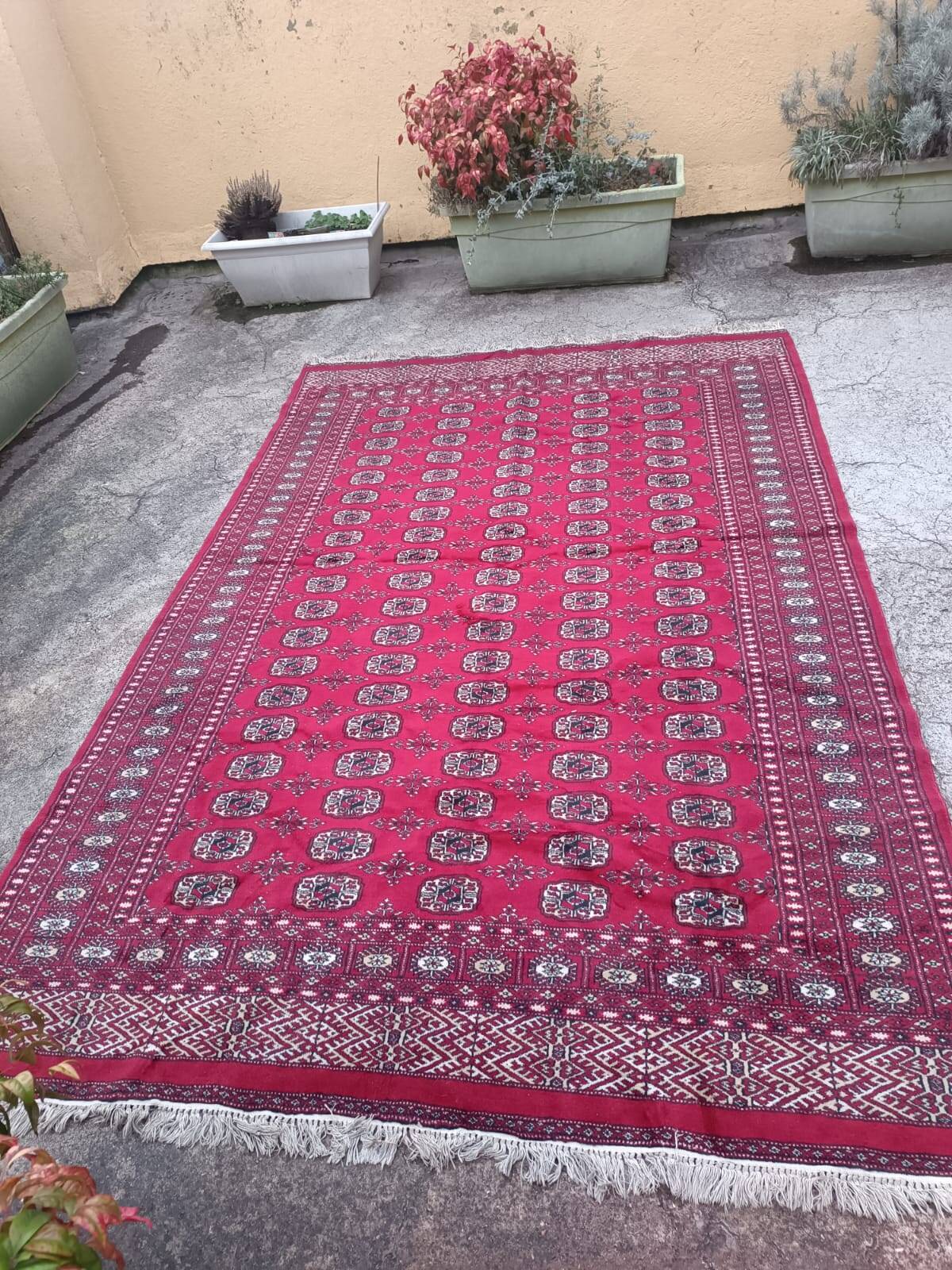 Old Afghan carpet in wool – hand-knotted – tribal patterns – 293 × 186 cm