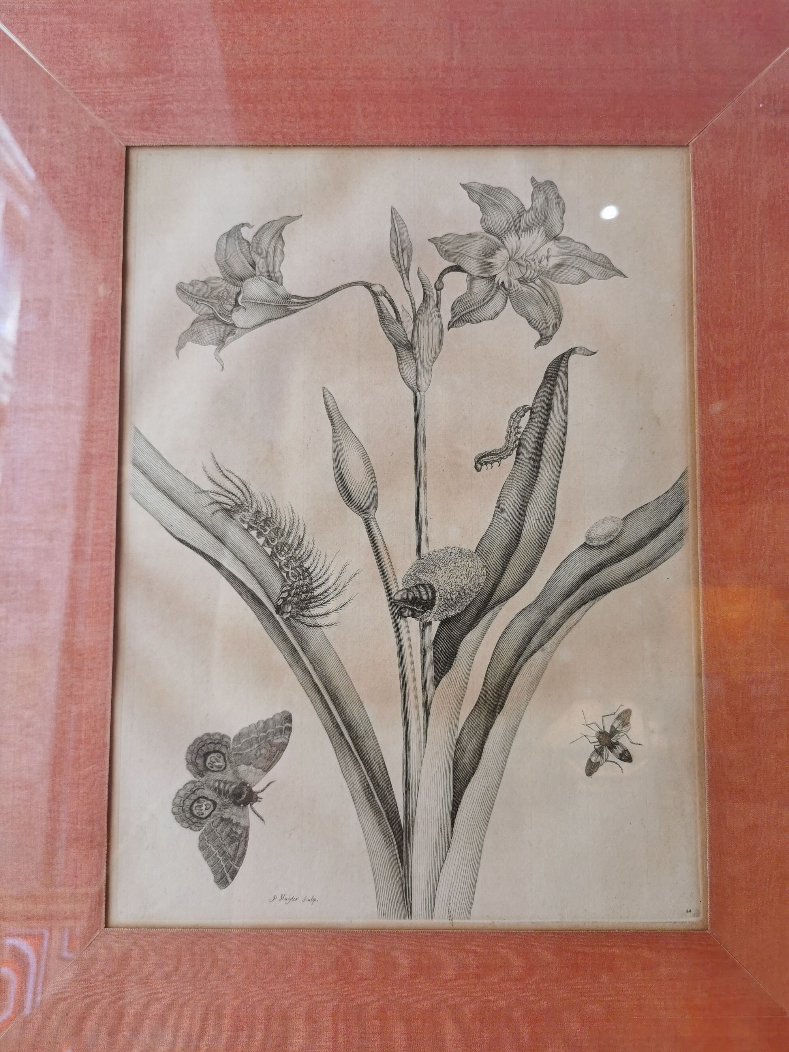 13th century engraving