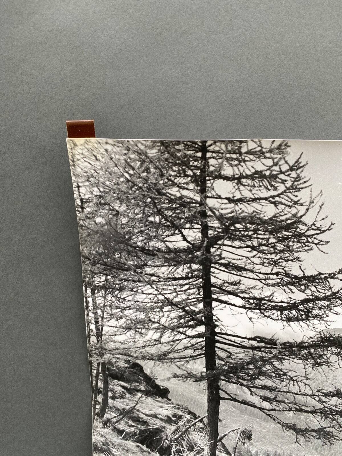 Bernard Darot silver gelatin photograph of a 20th-century mountain landscape