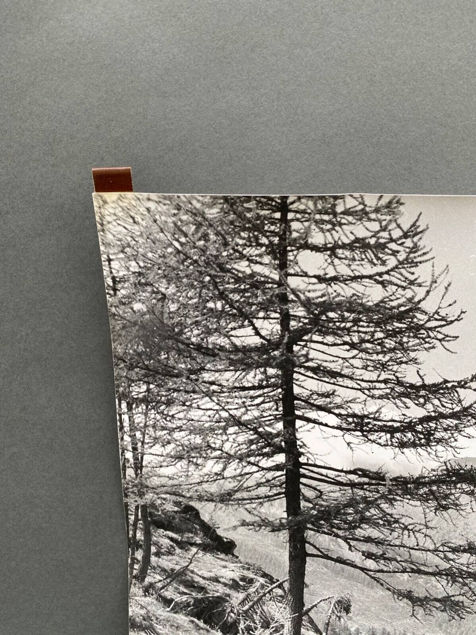 Bernard Darot silver gelatin photograph of a 20th-century mountain landscape