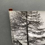 Bernard Darot silver gelatin photograph of a 20th-century mountain landscape