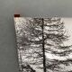 Bernard Darot silver gelatin photograph of a 20th-century mountain landscape