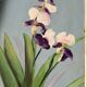 Tableau huile sur contreplaqué "Iris"