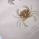 Antique engravings from 1839 - Portune crabs - Hand-colored plate