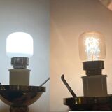 Cassis Cornuta shell lamp on a bronze base - Shell nightlight