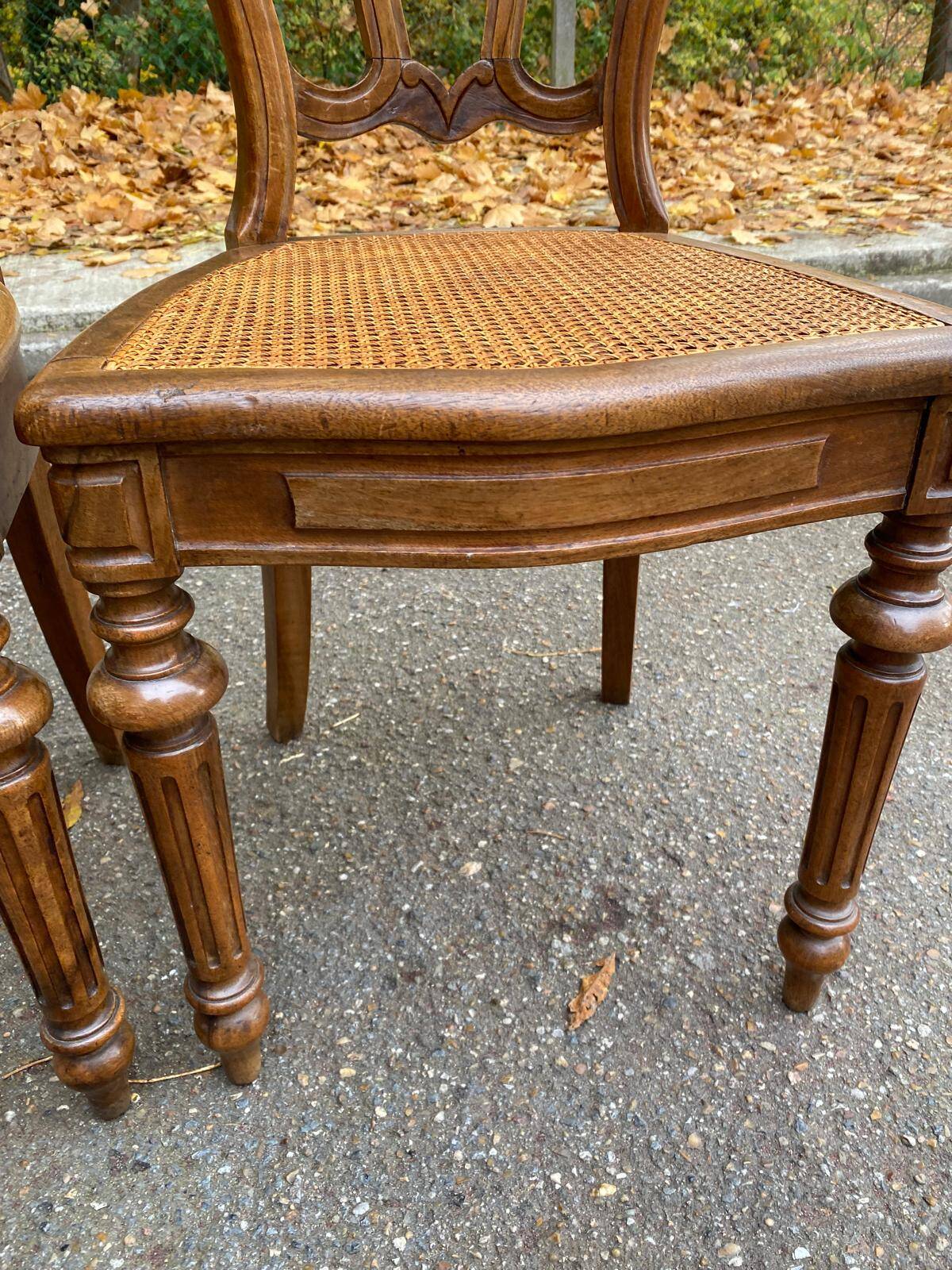 2 Louis Philippe chairs in solid carved wood and caning from the 19th century