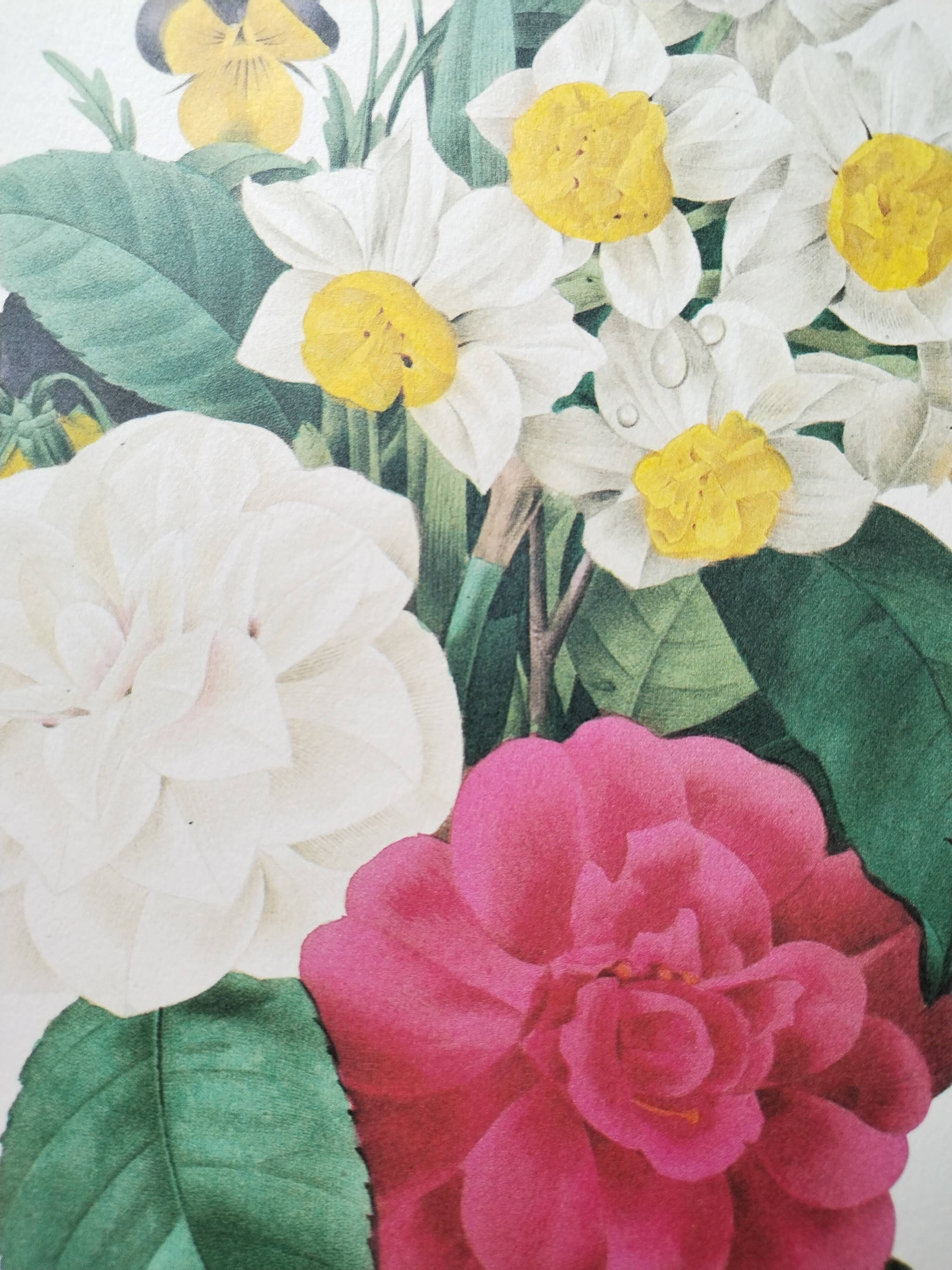 Original illustrated plate Bouquet of camellias, daffodils and pansies