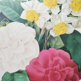 Original illustrated plate Bouquet of camellias, daffodils and pansies