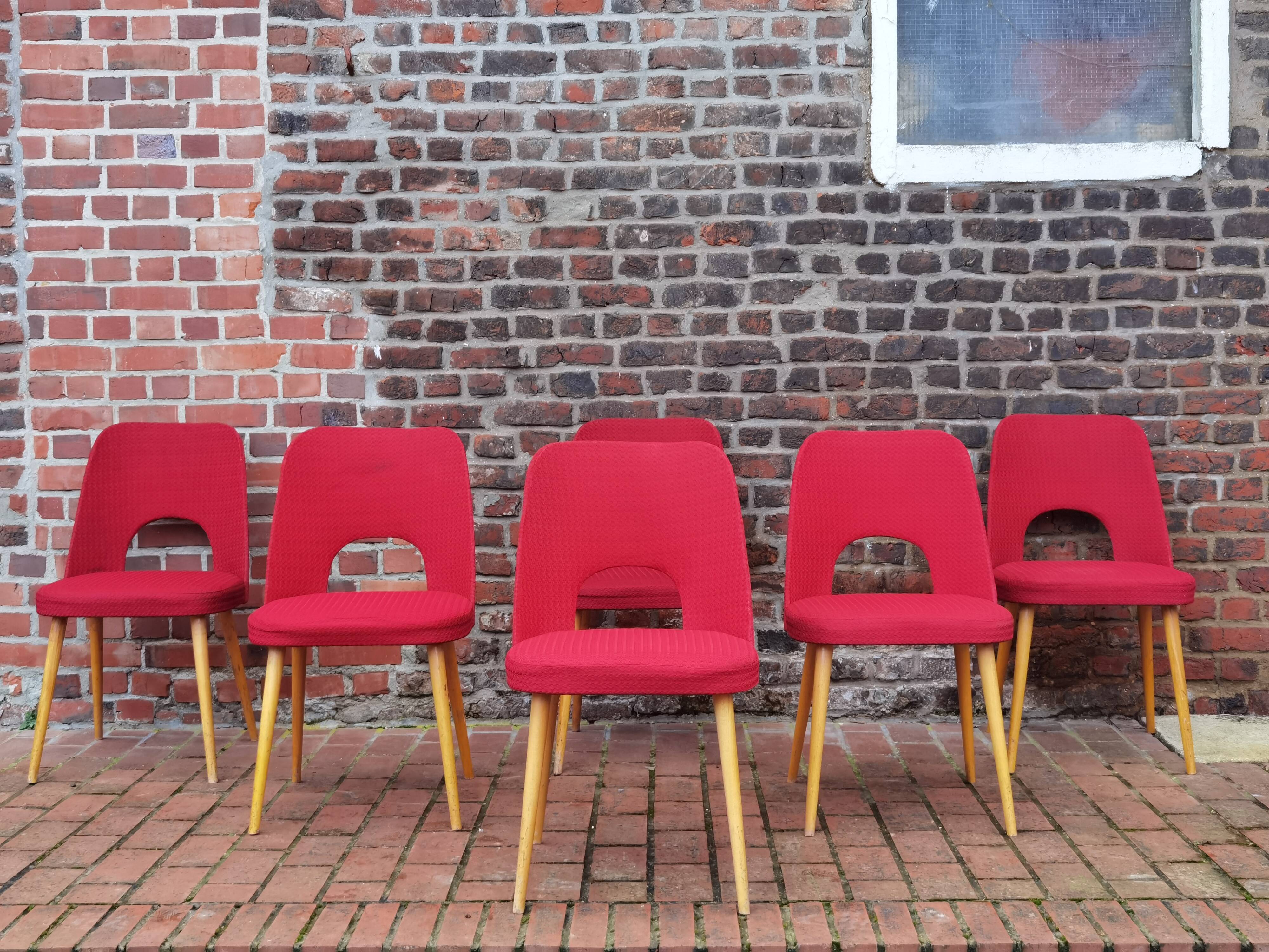 Lot of 6 Oswald Haerdtl chairs for Ton