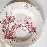 2 Iris iron earth plates