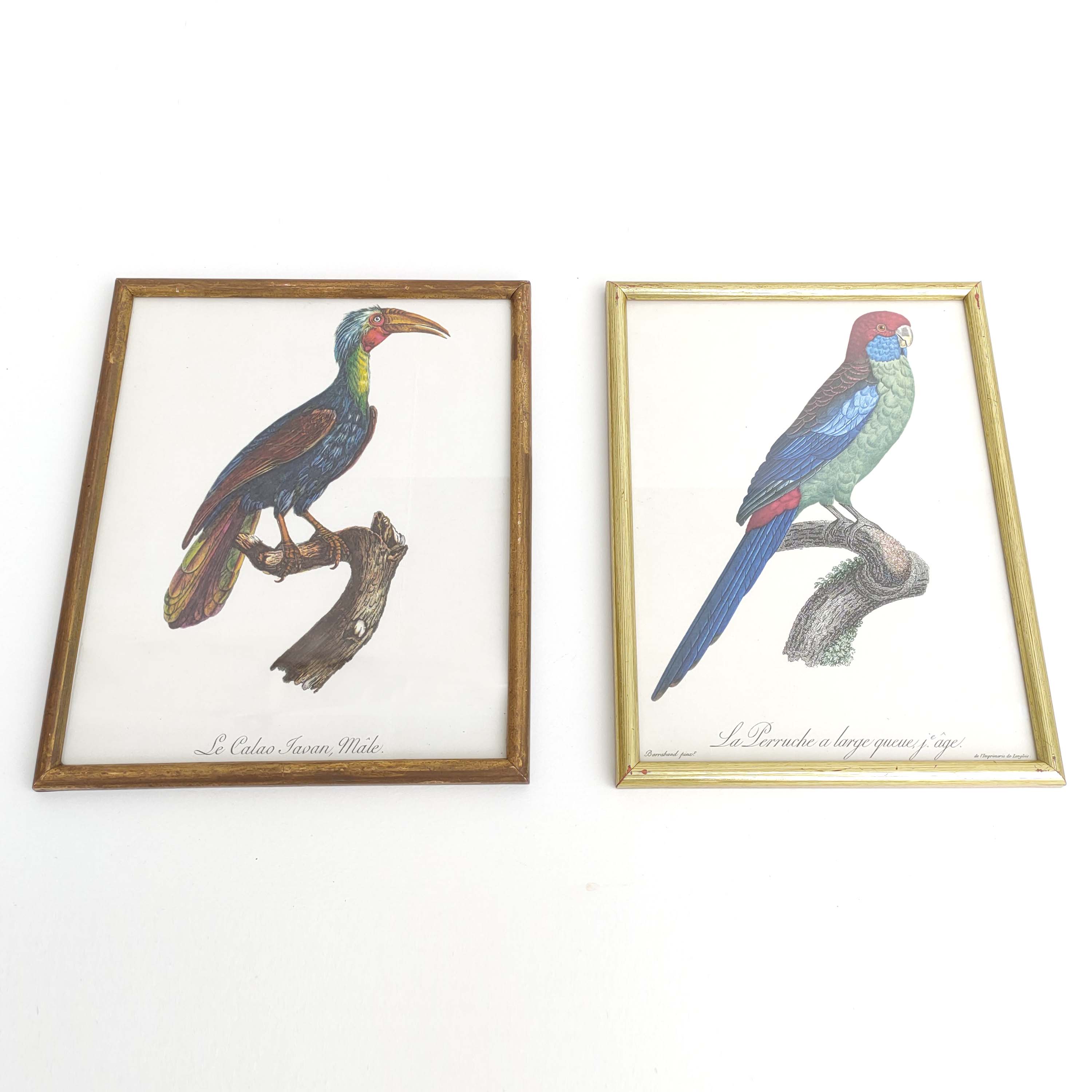 2 lithographed posters of birds in golden frames