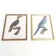 2 lithographed posters of birds in golden frames