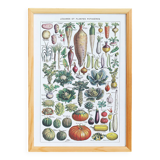 Poster about vegetables, based on a 1922 lithograph