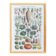 Poster on vegetables, based on a lithograph from 1922.