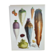 Garden Vegetable Illustration - Vintage Botanical Vegetable Garden Illustration Vilmorin - Red Carrot