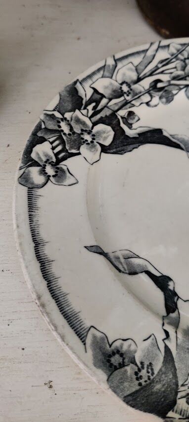 Flat plate JV et Cie Bordeaux / Chevreuse