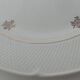 11 Salins flat plates