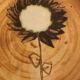 5 plates flat sunflower, Poterie de la Colombe, Vallauris style, 1970