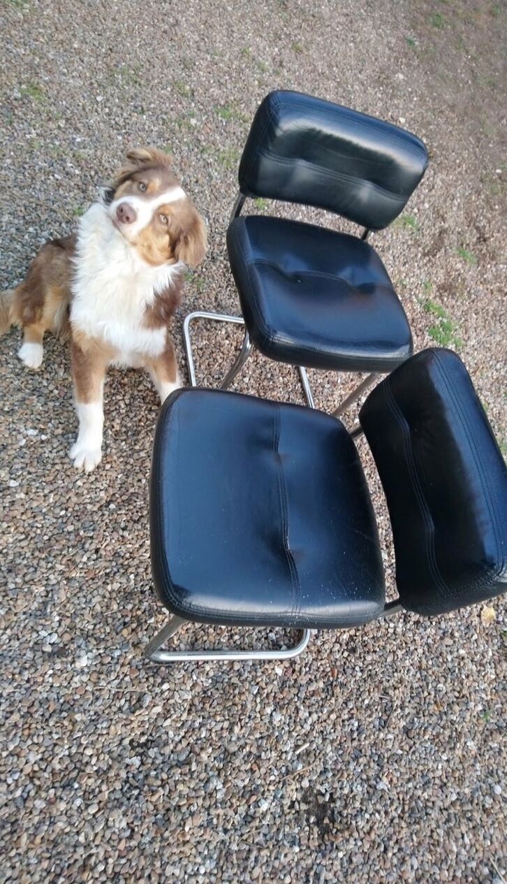 Pair of vintage armchairs 70 black