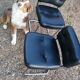 Pair of vintage armchairs 70 black