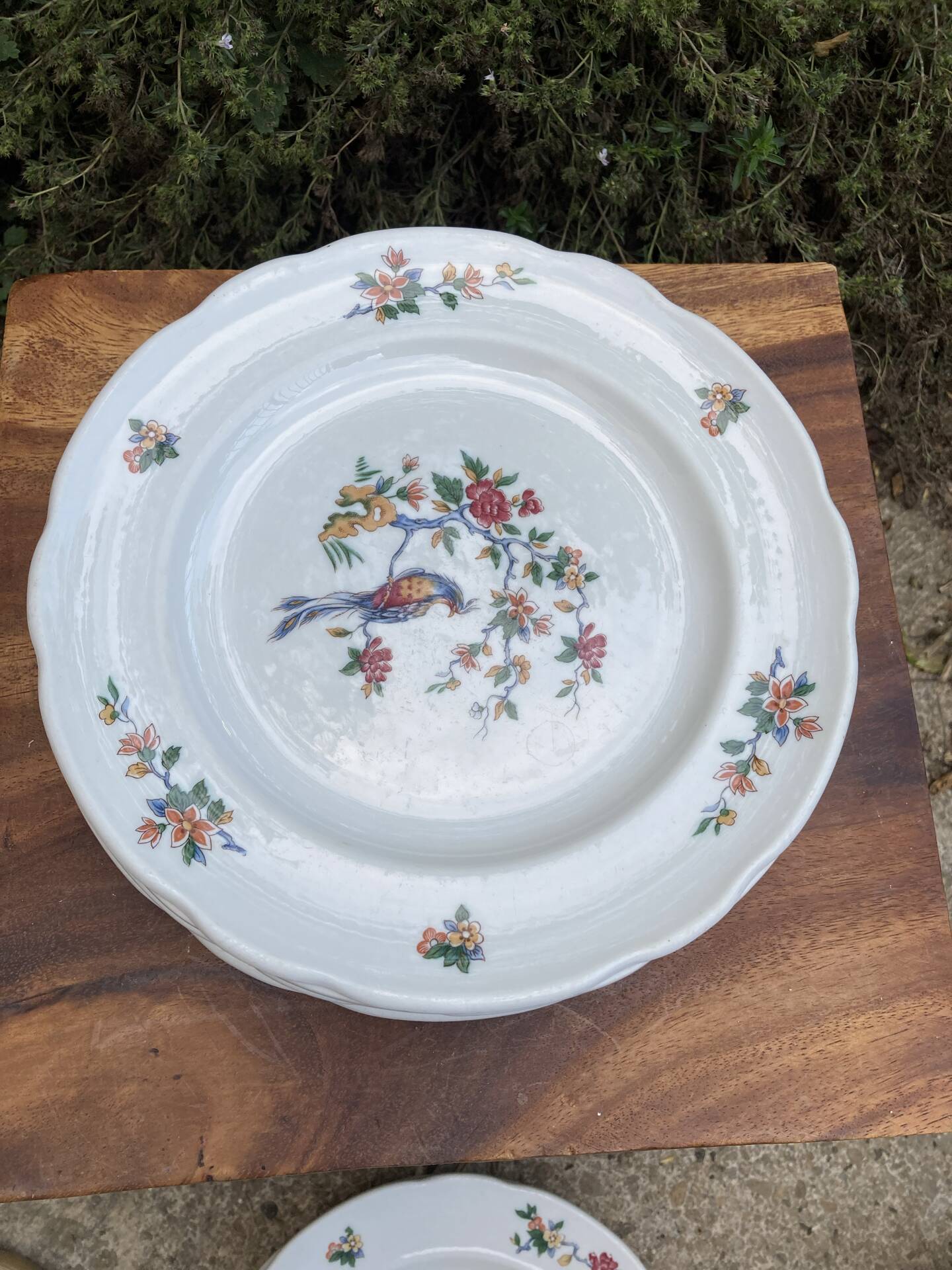 Sarreguemines plates paradise birds / Phoenix