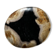 Empty pocket or dish in medium petrified wood