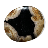 Empty pocket or dish in medium petrified wood