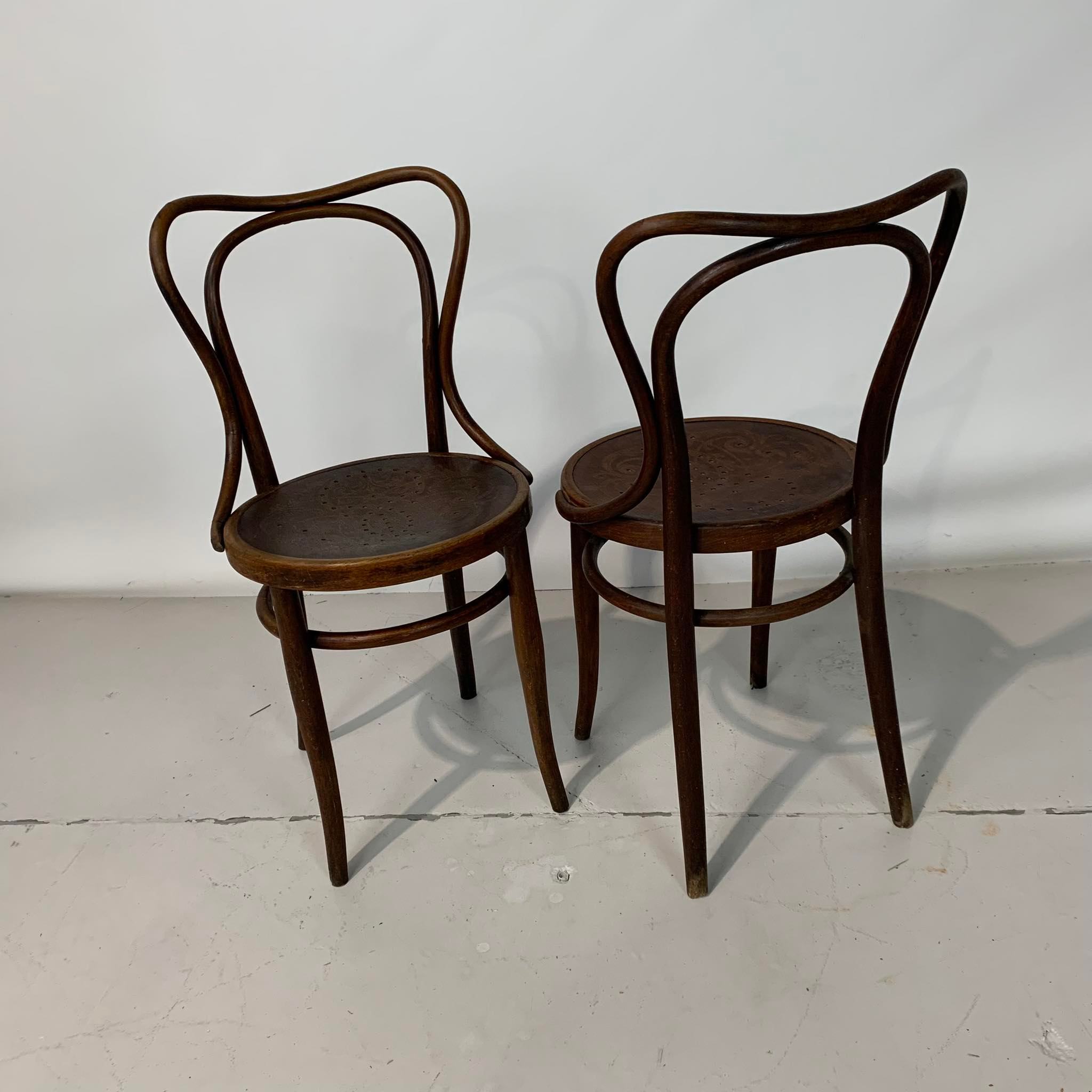 Paire de chaises bistrot n°55 J&J Kohn