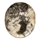 Very large pocket or dish in petrified wood