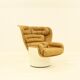 Elda chair by Joe Colombo for Comfort 1960
