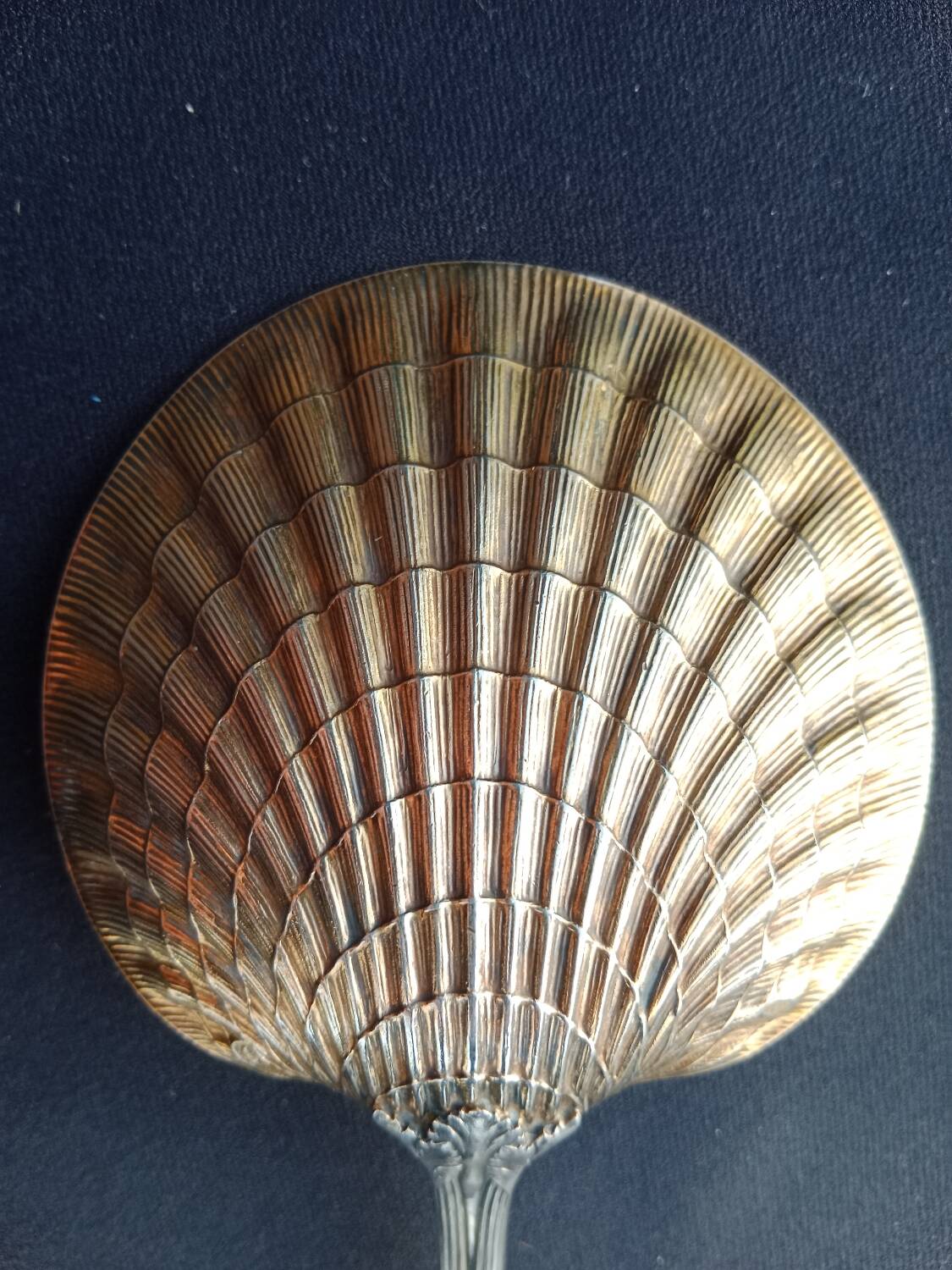 Strawberry shovel XIX.