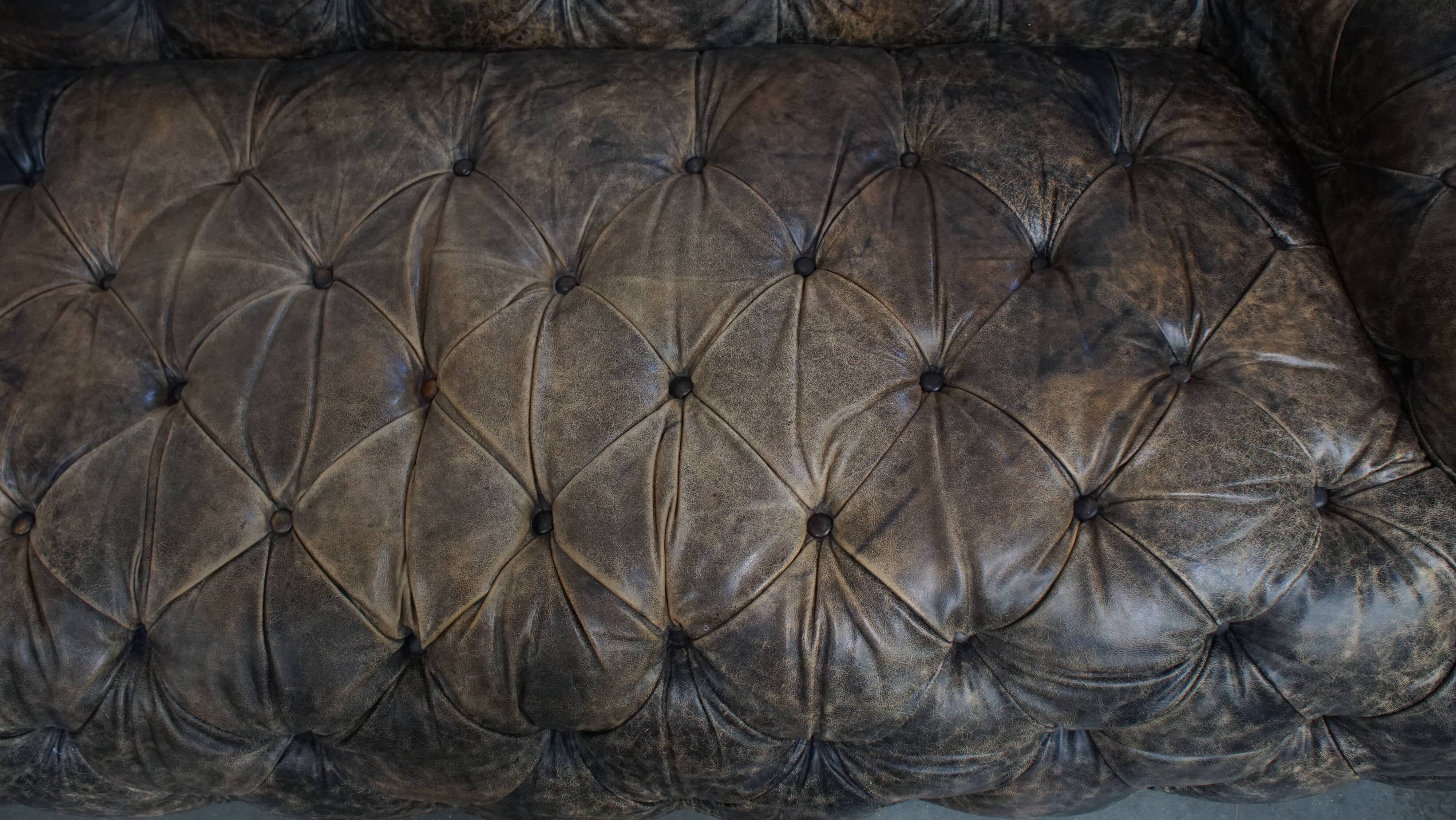 Chesterfield cowhide sofa