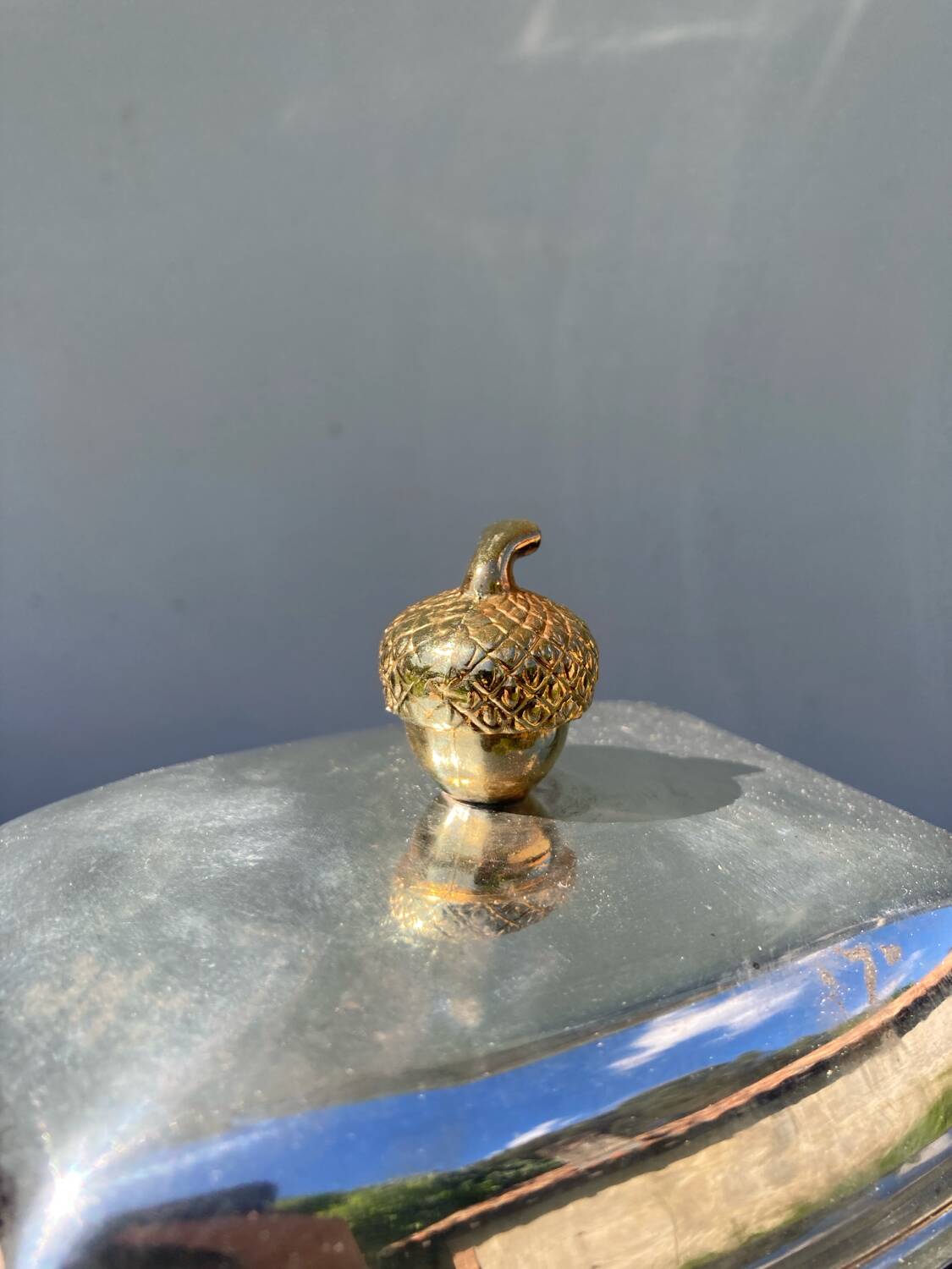 Acorn silver metal butter dish