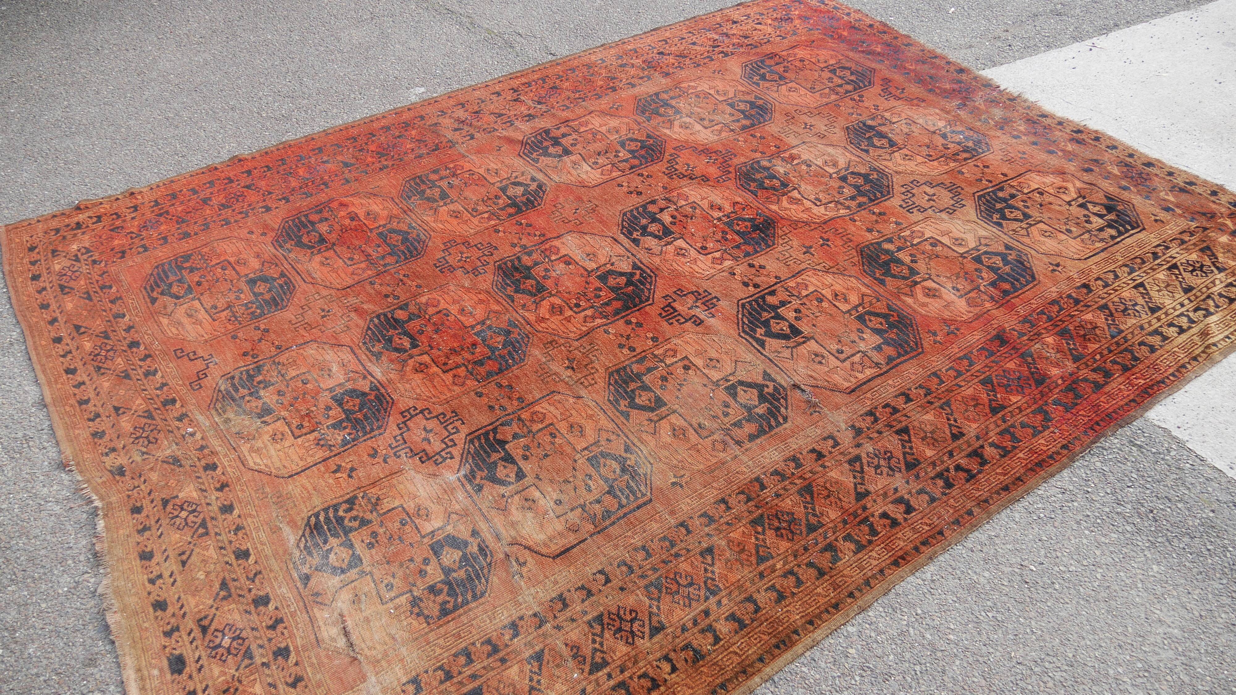 Afghan carpet ersari  285 x  225 cm