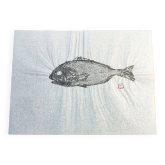 Print of a sea bream, original sea bream Gyotaku