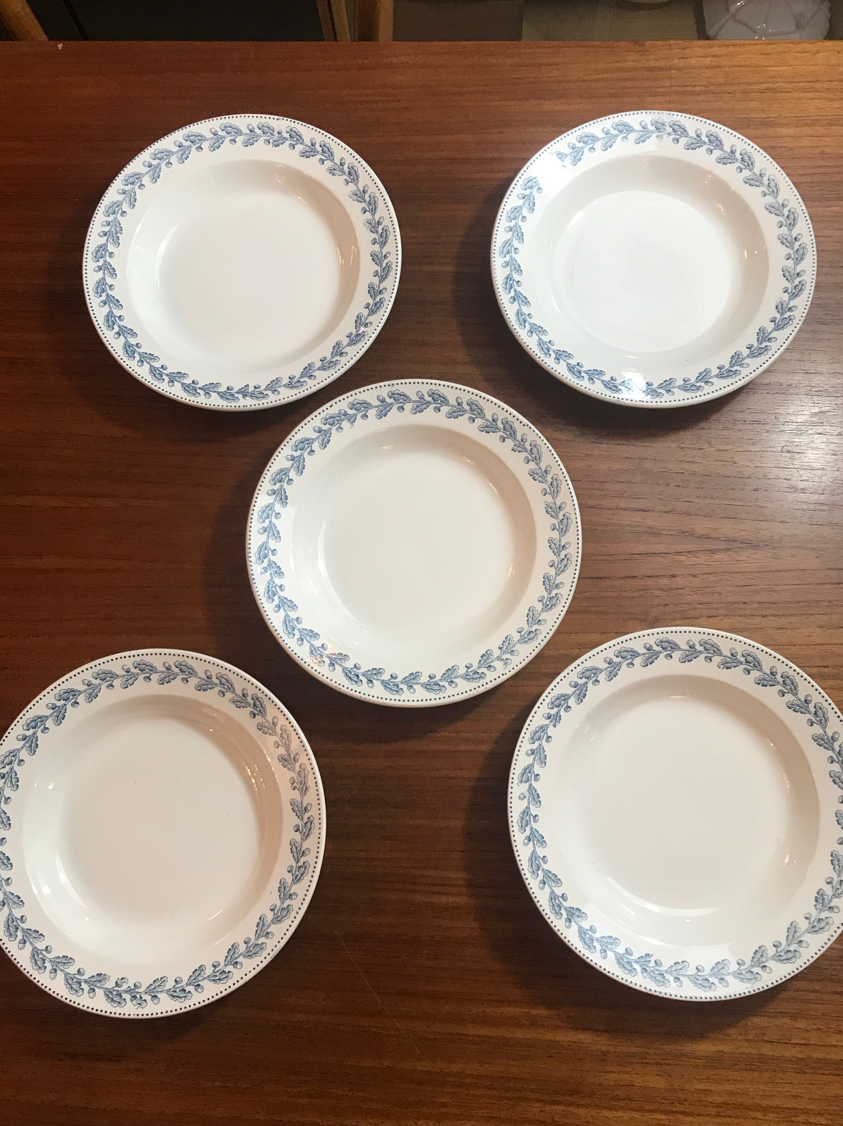 5 hollow plates Terre de Fer Sarreguemines early 20th century