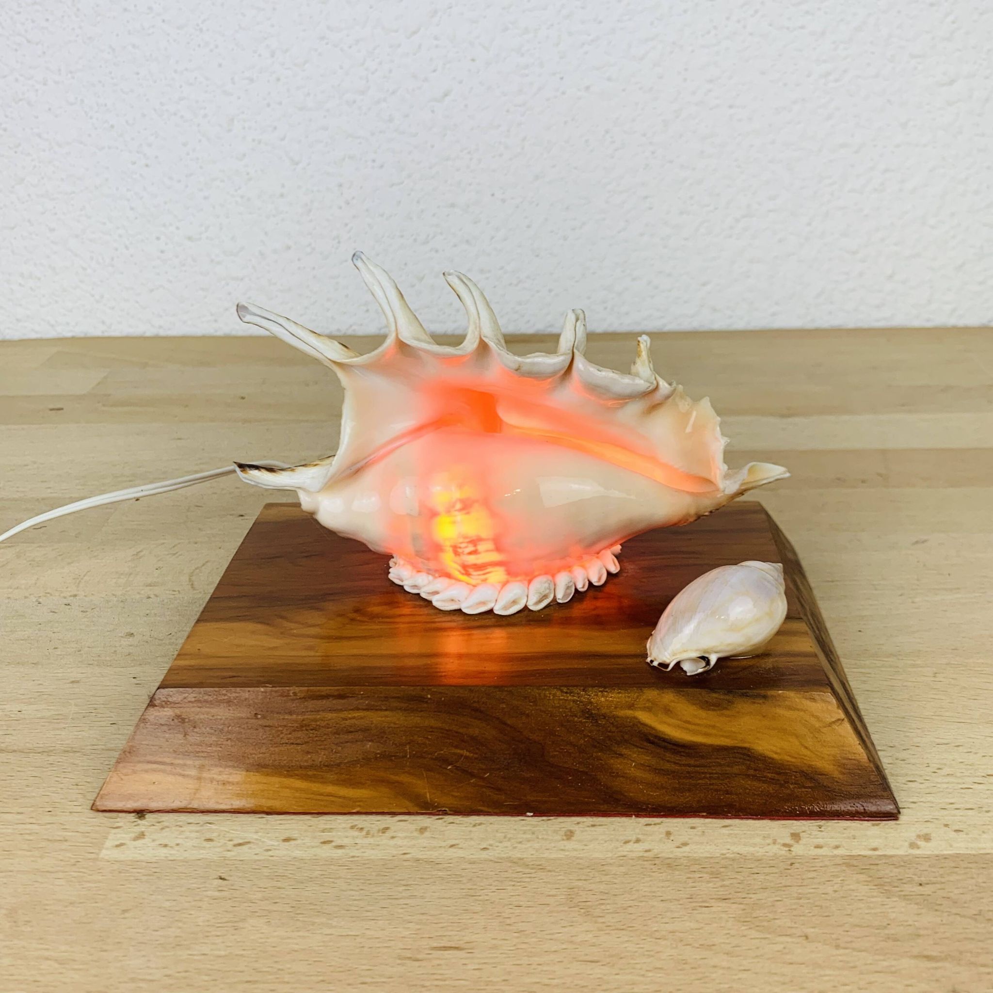 Lampe coquillage vintage socle bois