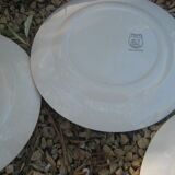 5 plates Ceranord St Amand model Eglantine