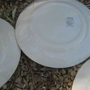 Set de 5 assiettes Ceranord St Amand modèle Eglantine