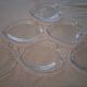 6 glass fish plates from Arcoroc in very good condition.